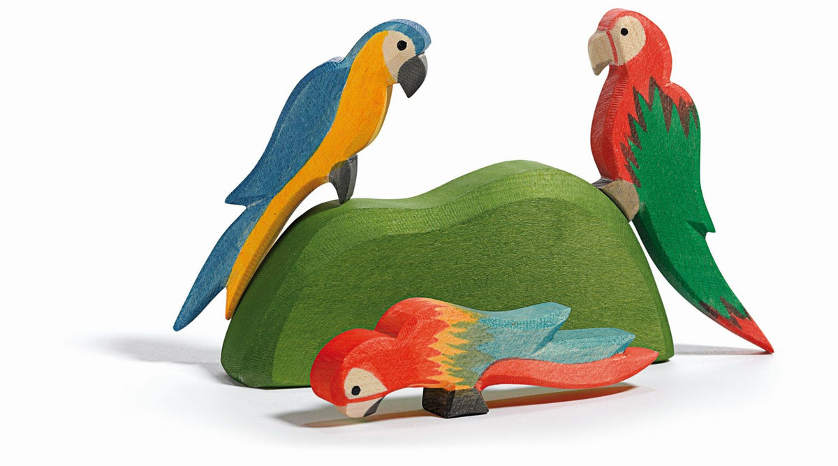 Ostheimer Parrot Blue