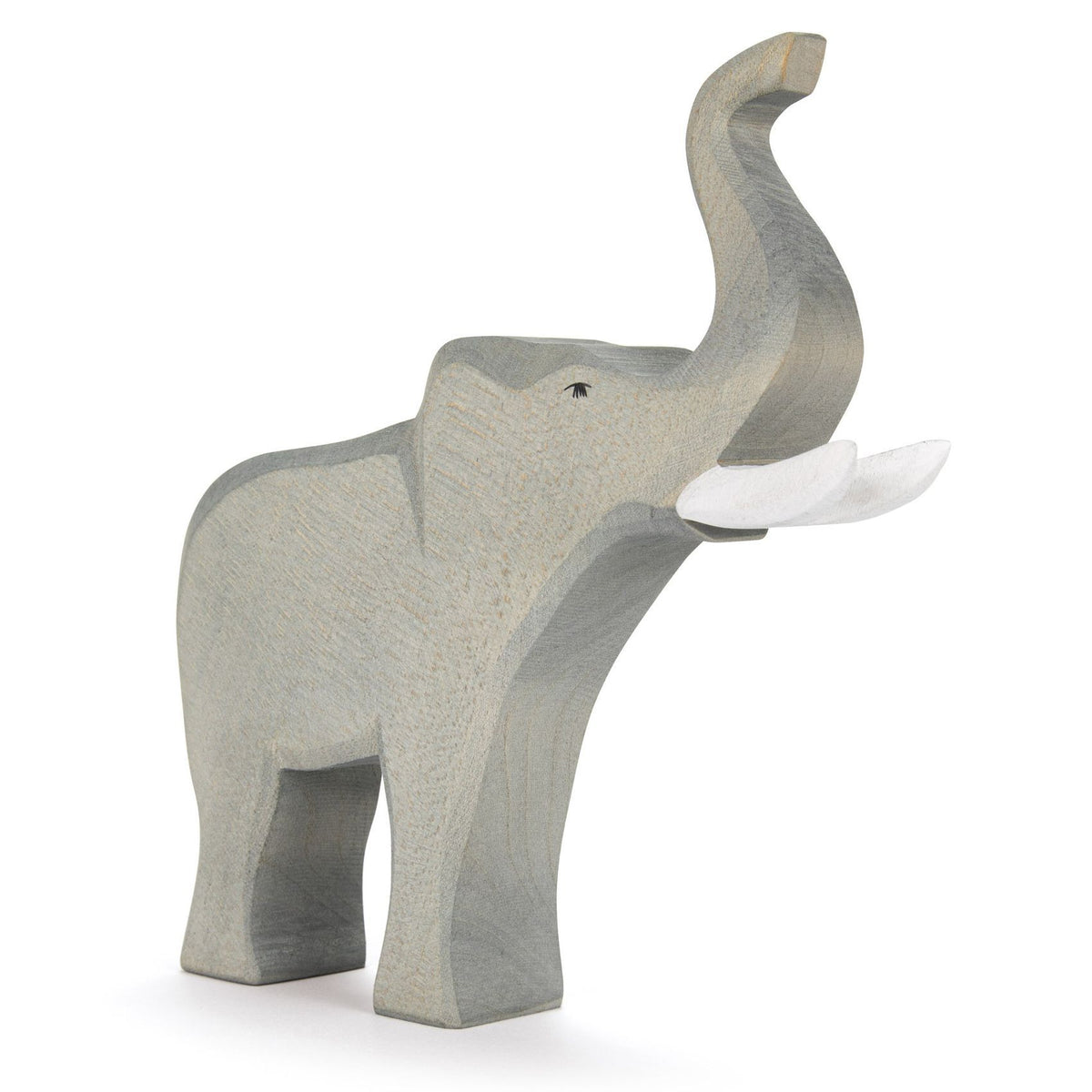Ostheimer Elephant Male Trumpeting