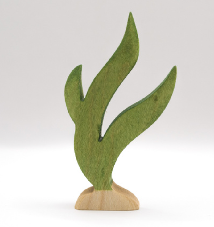 Juharka Seagrass