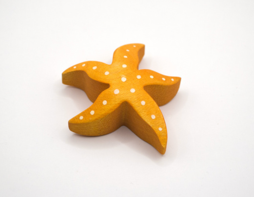 Juharka Starfish
