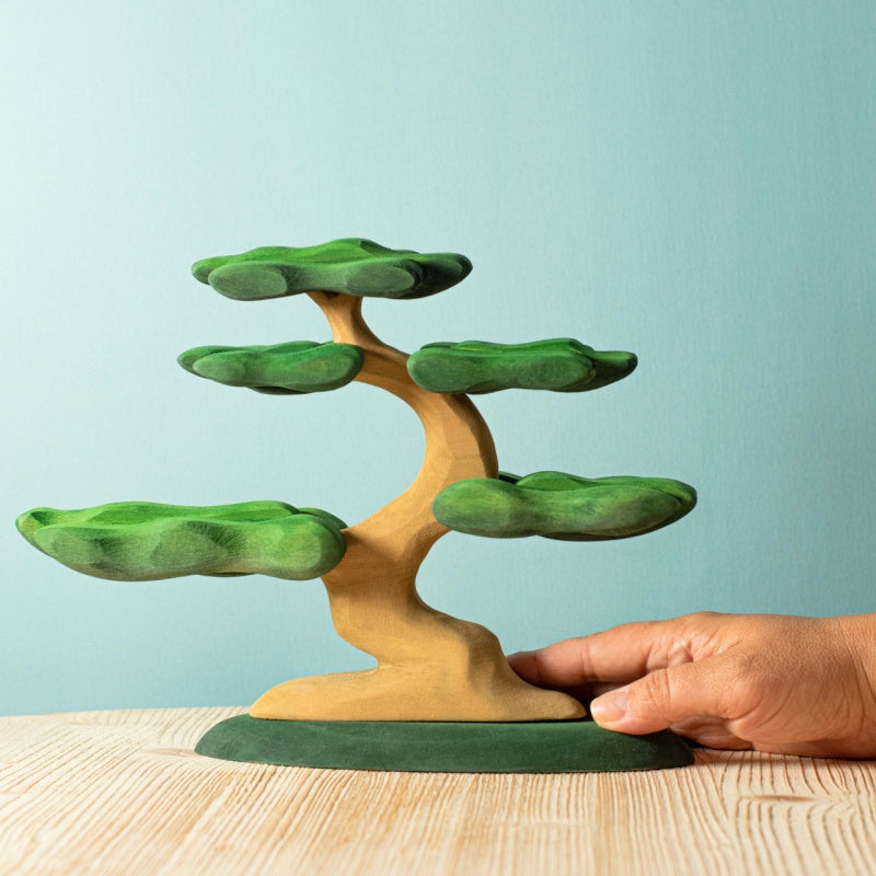 Bumbu Bonsai Tree