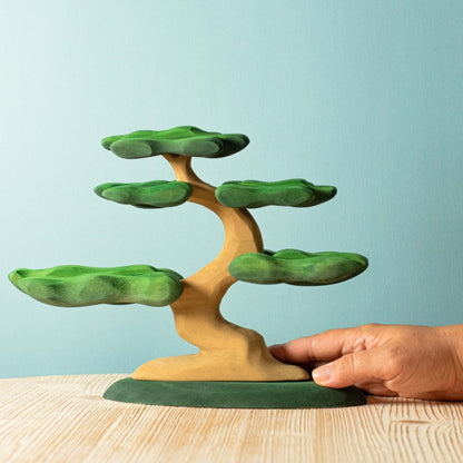 Bumbu Bonsai Tree