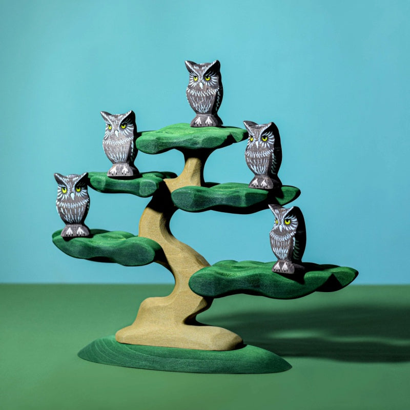 Bumbu Bonsai Tree
