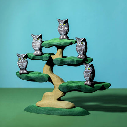 Bumbu Bonsai Tree