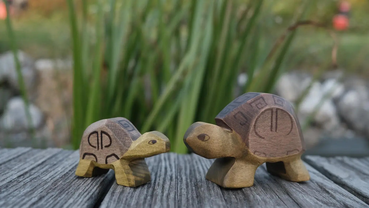 Holzwald Turtle Large