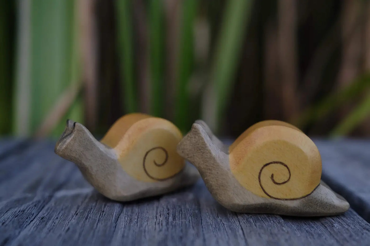 Holzwald Snail Small